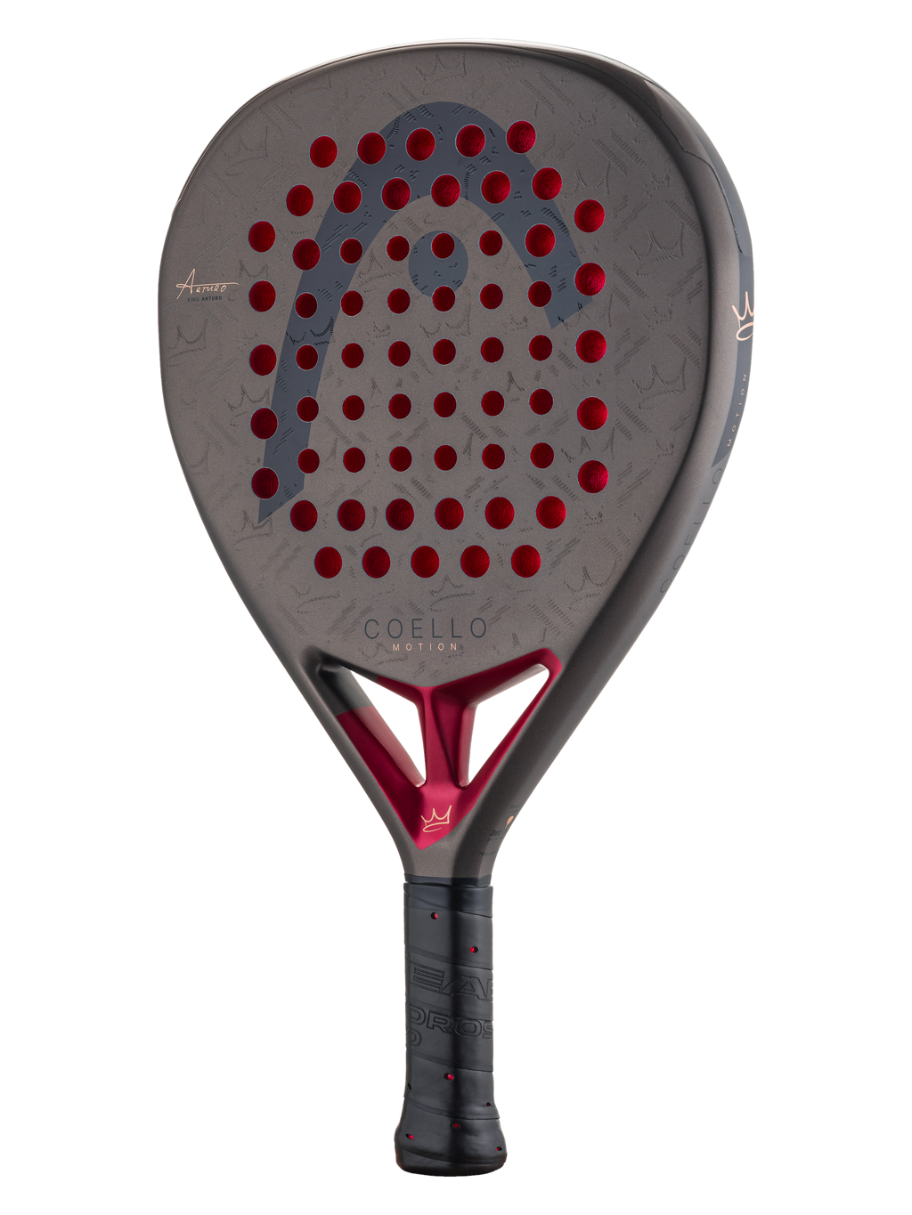 Head Coello Motion 2026