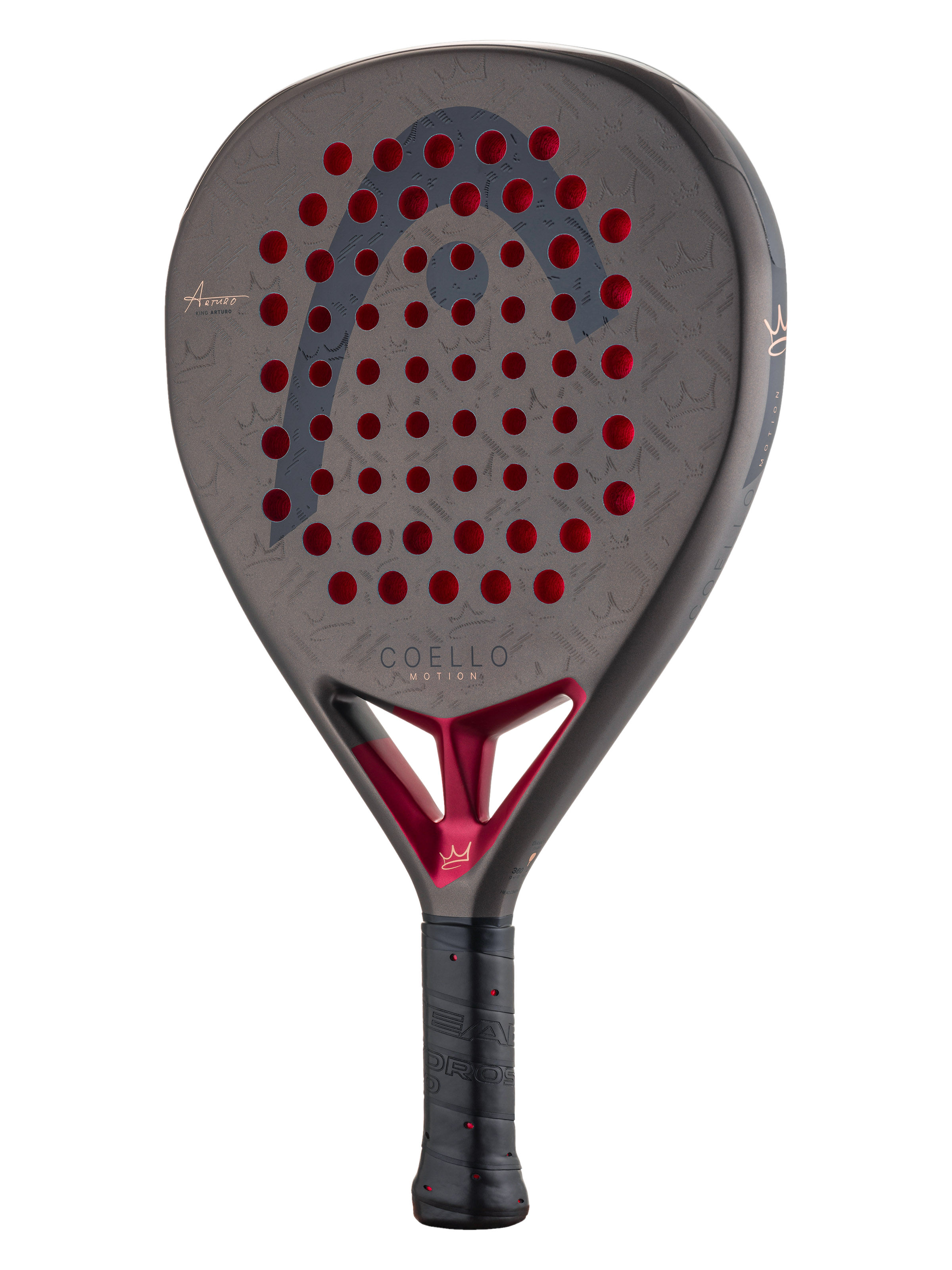 Head Coello Motion 2026