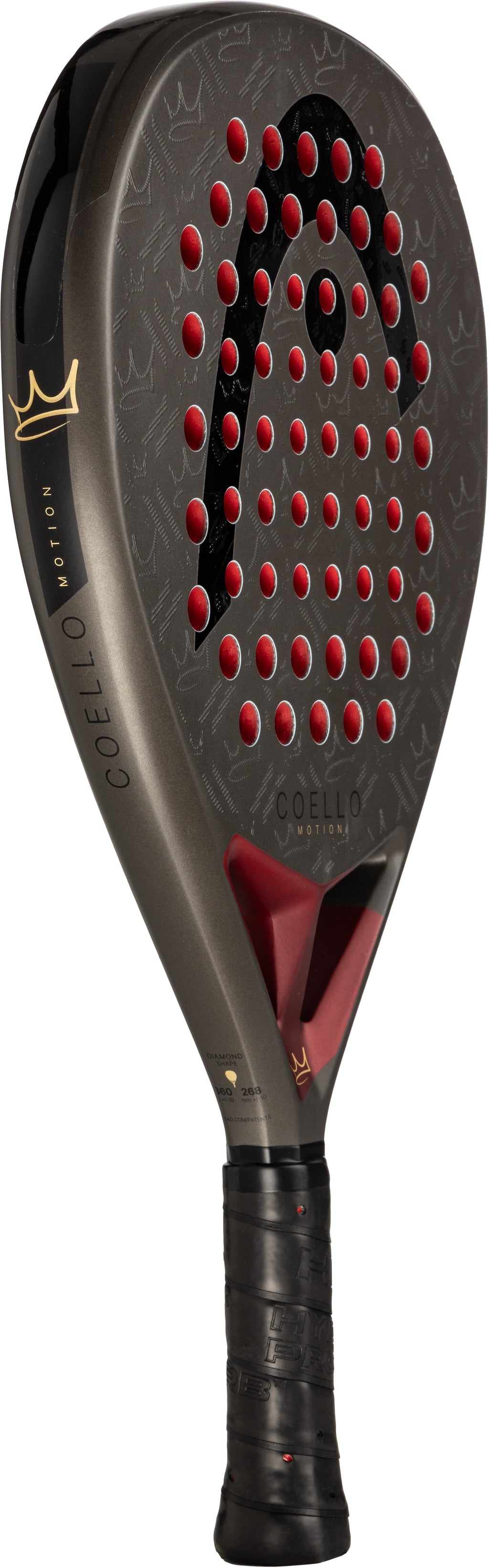 Head Coello Motion 2026
