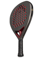 Head Coello Motion 2026