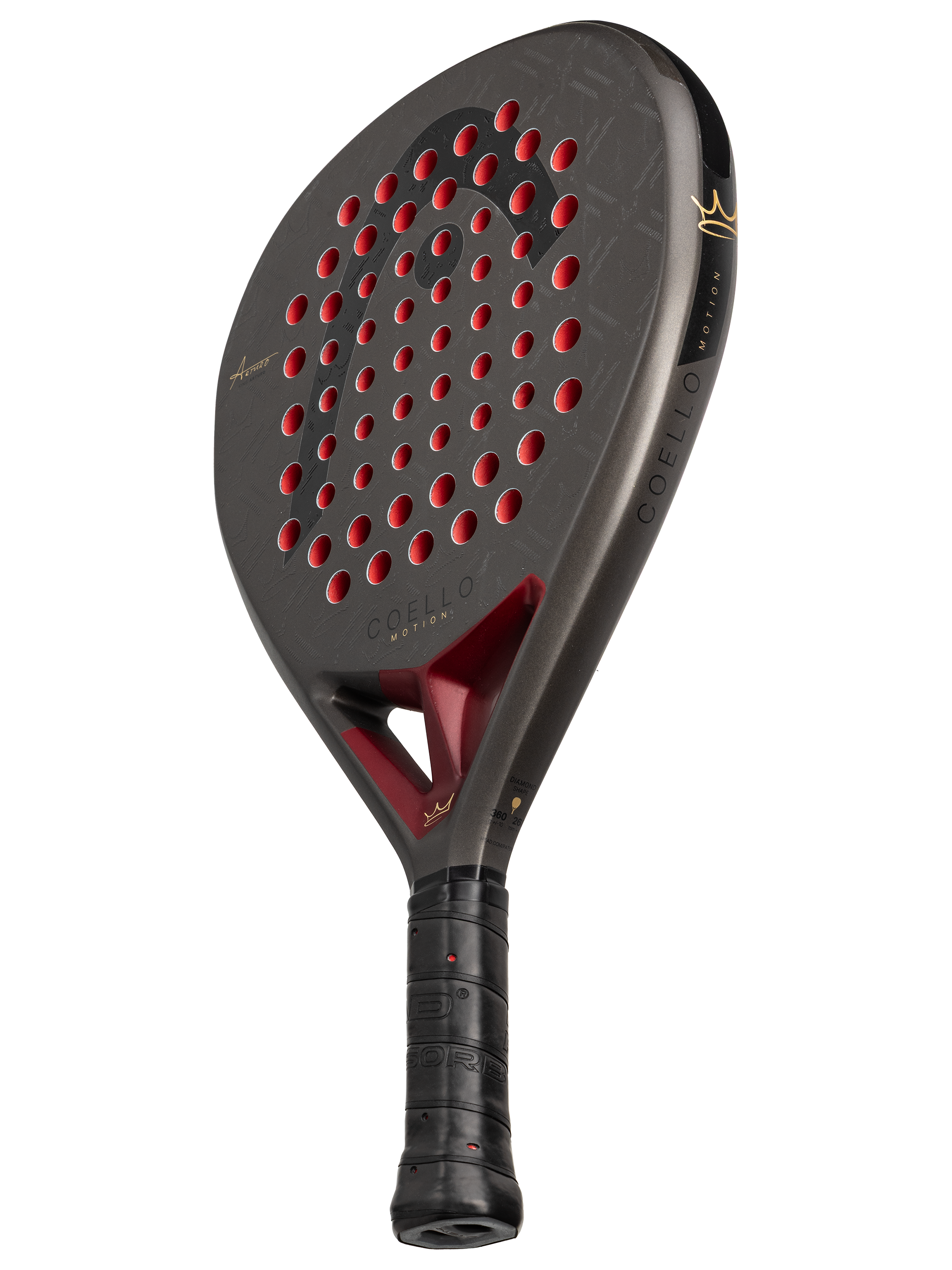 Head Coello Motion 2026